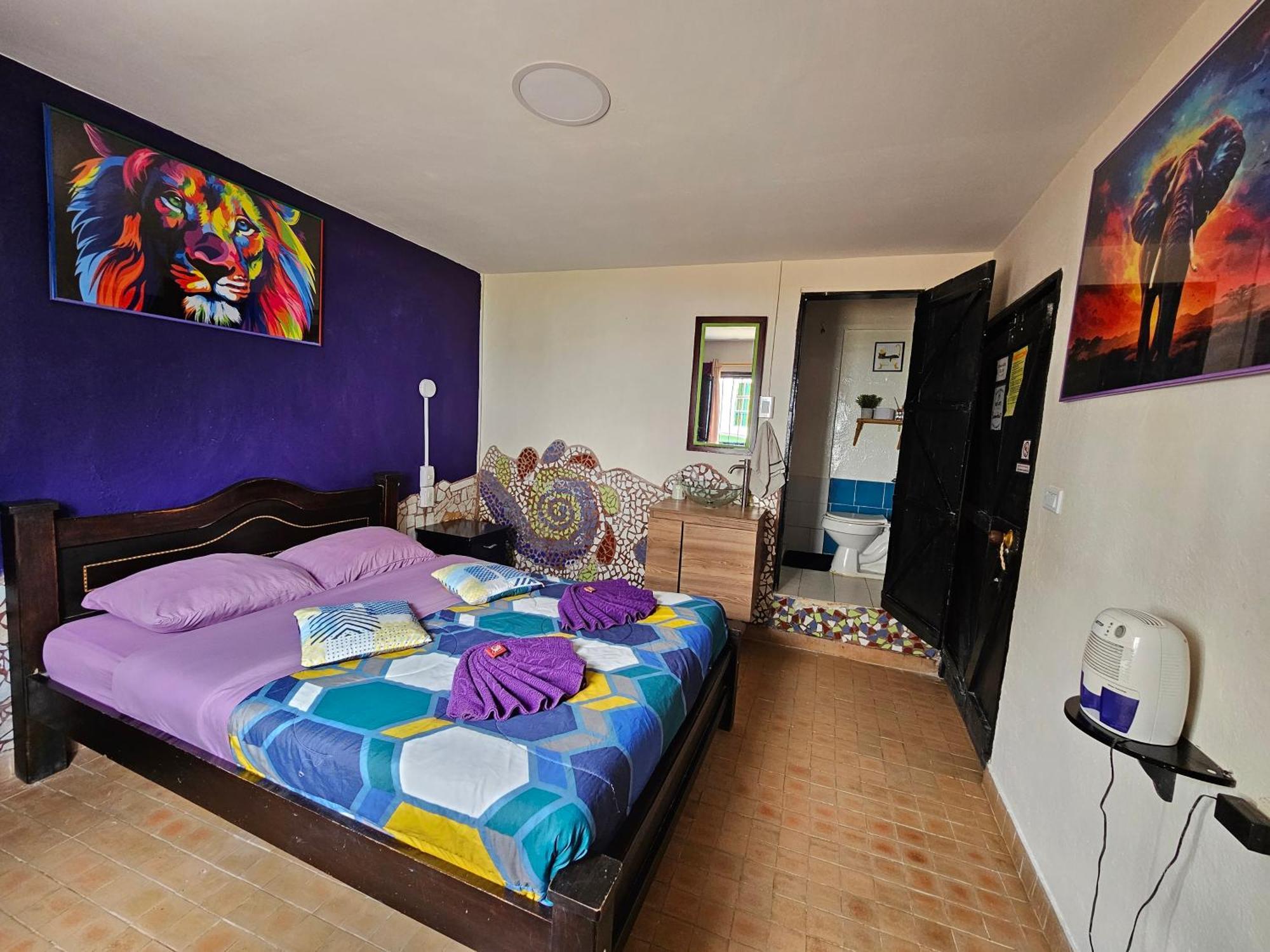 Hostal Bambu San Agustín Zewnętrze zdjęcie